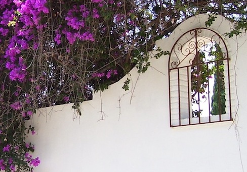 white wall with window and bougainvillea