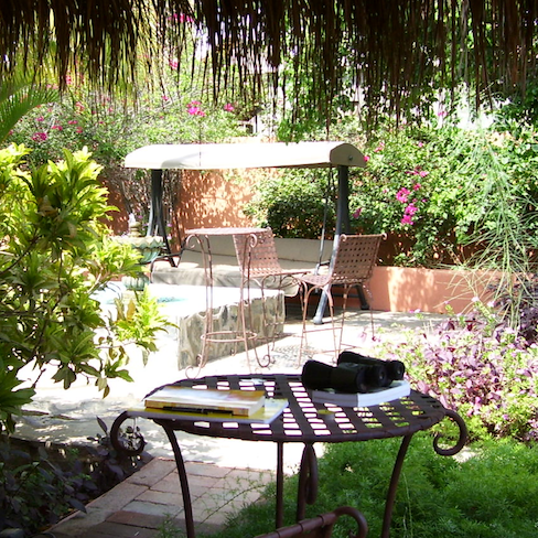 patio at Las Flores Posada in Todos Santos, my writing notebook on the table