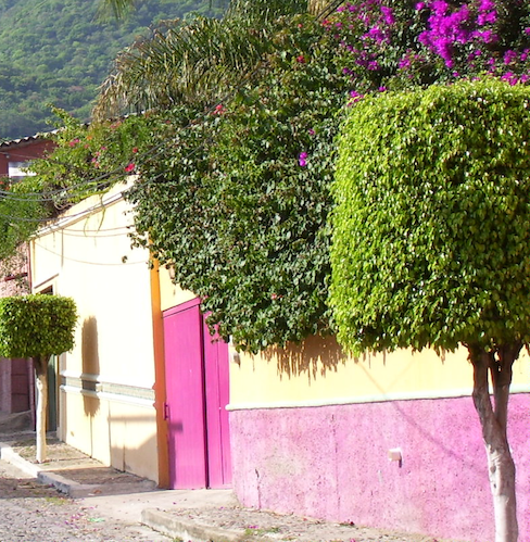 wall with fuchsia metal door