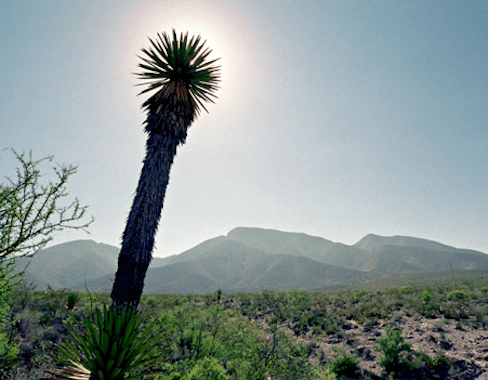 Desert and mountains copyright Tommy Huynh