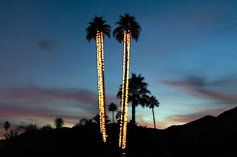 two tall palm streets strung with white lights