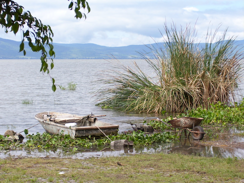 Shore of lake, old rowboat and wheelbarrow