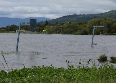 basketball court submerged in the lake