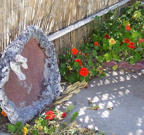 Birdbath props up the fence