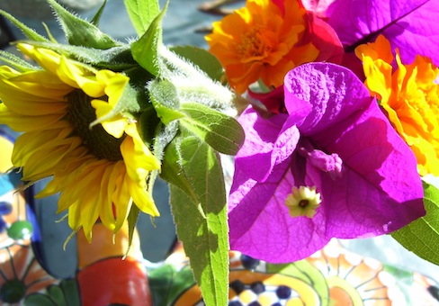 my mini bouquet, sunflower, bougainvillea and marigolds