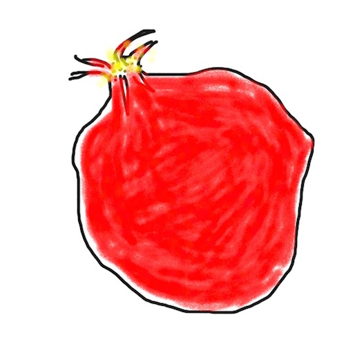 Drawing of a red pomegranate
