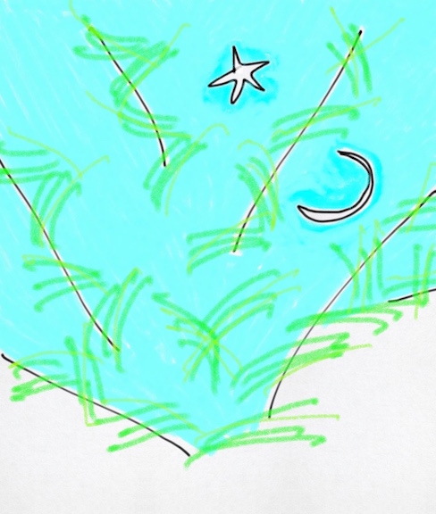 drawing of moon and star through pine branches