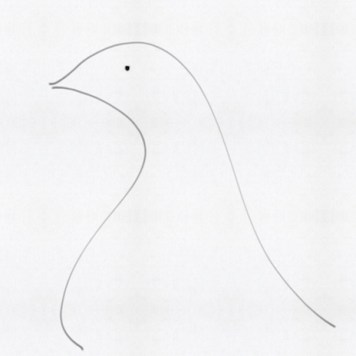 two black lines of a dove