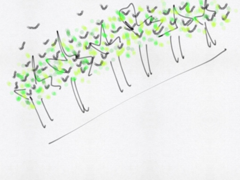 line of squiggles, trees and leaves and grackles